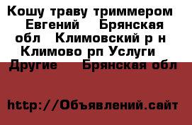 Кошу траву триммером,  Евгений. - Брянская обл., Климовский р-н, Климово рп Услуги » Другие   . Брянская обл.